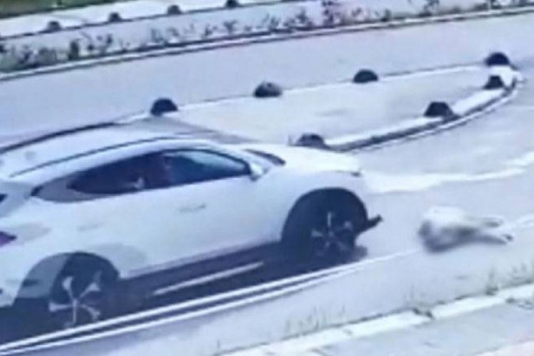 Max'i ezen doktora 3 yıl hapis istendi