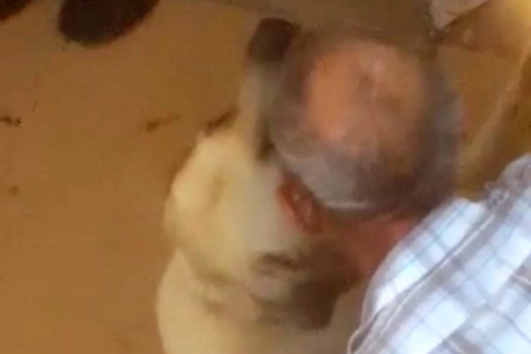 Ayaklarını hortumla bağladığı köpeğe tecavüz etti