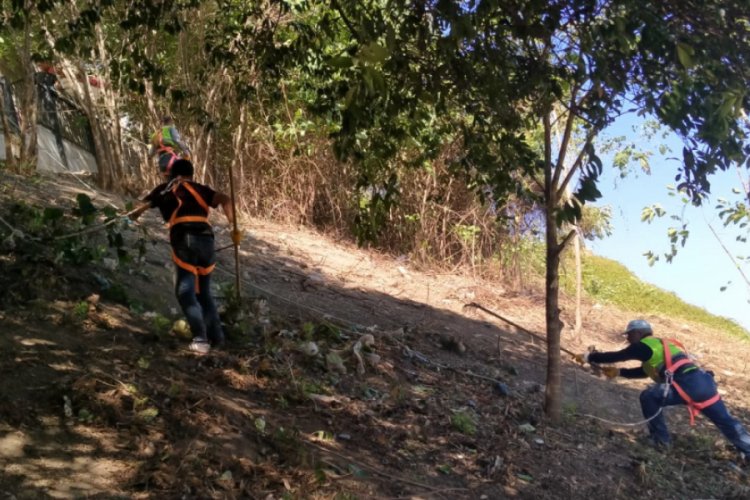 Bursa Tophane'de hummalı temizlik
