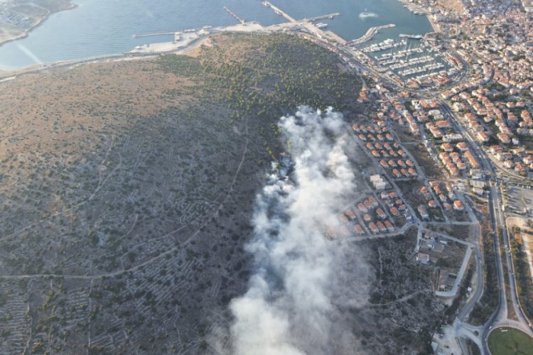 Bu yıl 1944 orman yangınında 6 bin 492 hektar alan kül oldu
