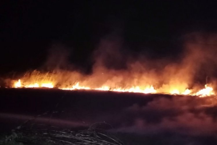 Hatay'da kopan elektrik telleri bahçede yangın çıkardı