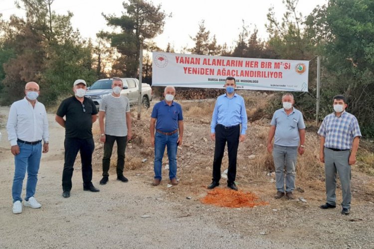 Bursa Su Tesisatcisi Sihhi Tesisat Isleri Kombi Bakimi Kanal Logar Acma Petek Temizleme Cihazla Su Kacagi Bulma Ve Tespiti