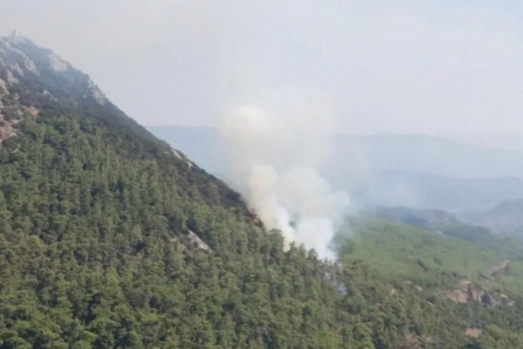 Marmaris'te orman yangını
