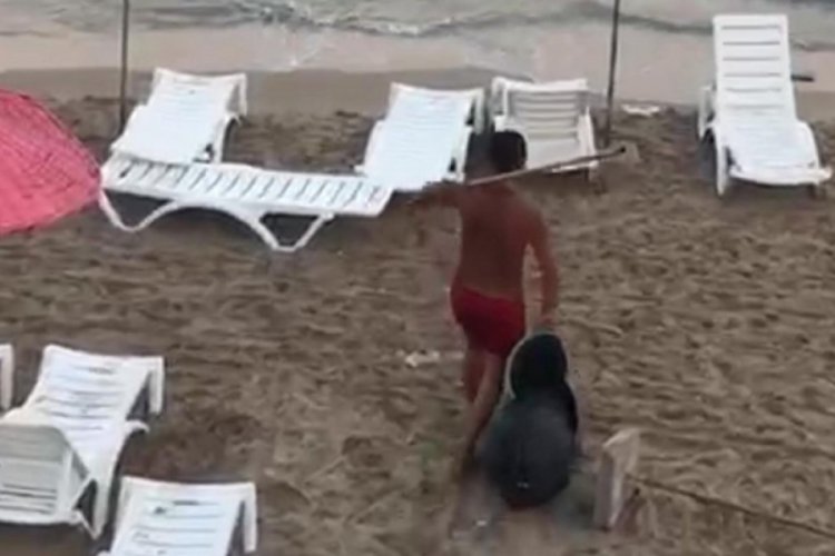 Ağaçları yakıp, çöpleri denize dökmüştü, mahkeme akıl hastanesine gönderdi!