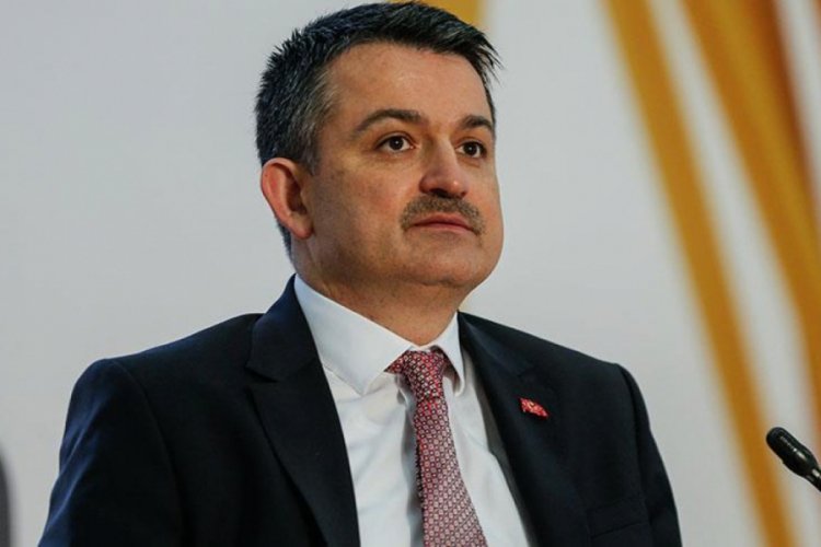 Bakan Pakdemirli: Fındık üreticilerine 3.2 milyon TL ödedik