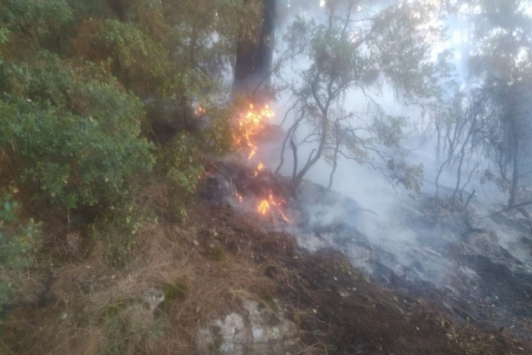 Burdur çöplükte çıkan yangın ormana sıçradı