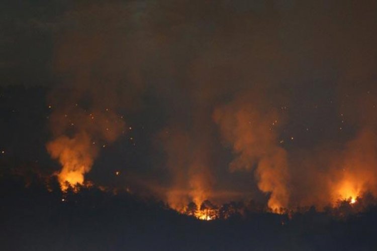 Ankara'da korkutan orman yangını! Bakan Pakdemirli'den açıklama