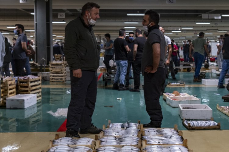 Palamut mezatta 10 liradan alıcı buldu