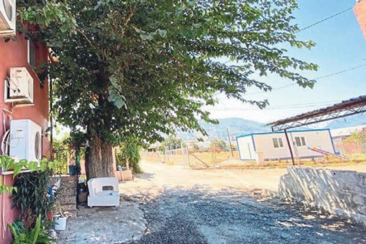 Şoke eden yöntem! ''Saplantılı bir şekilde taciz ediyor''