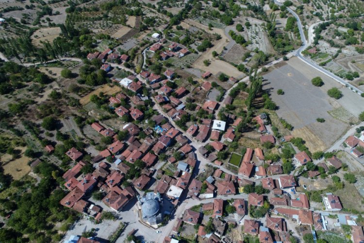 Bursa'nın Yazıbaşı Mahallesi çörek otundan 1,5 milyon lira kazandı
