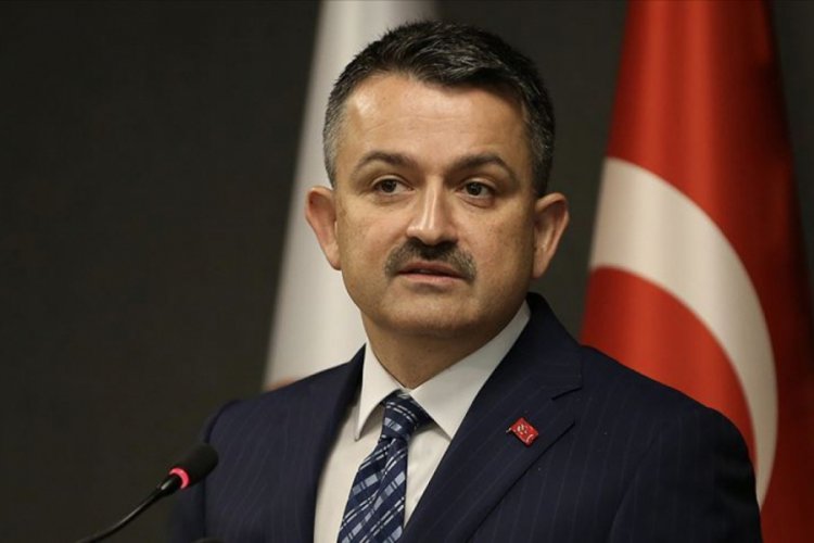Bakan Pakdemirli: Nallıhan'daki orman yangını kontrol altına alındı