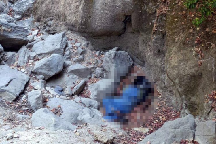 Kayıp iş adamı, düşerek hayatını kaybetmiş