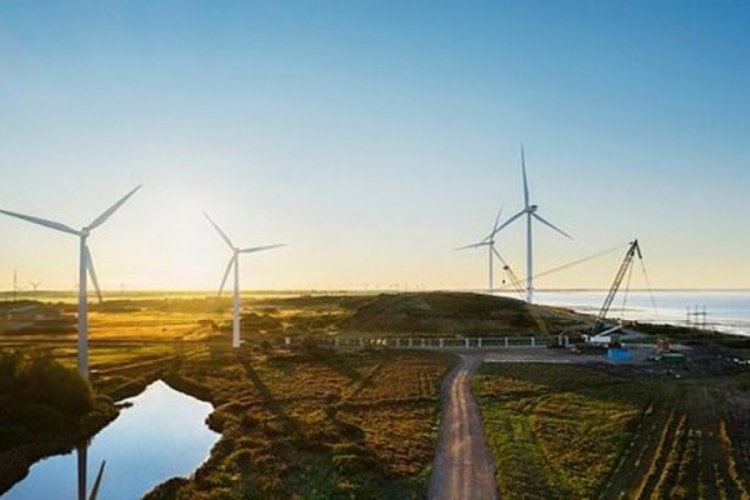 Apple'dan yeşil enerji için yatırım