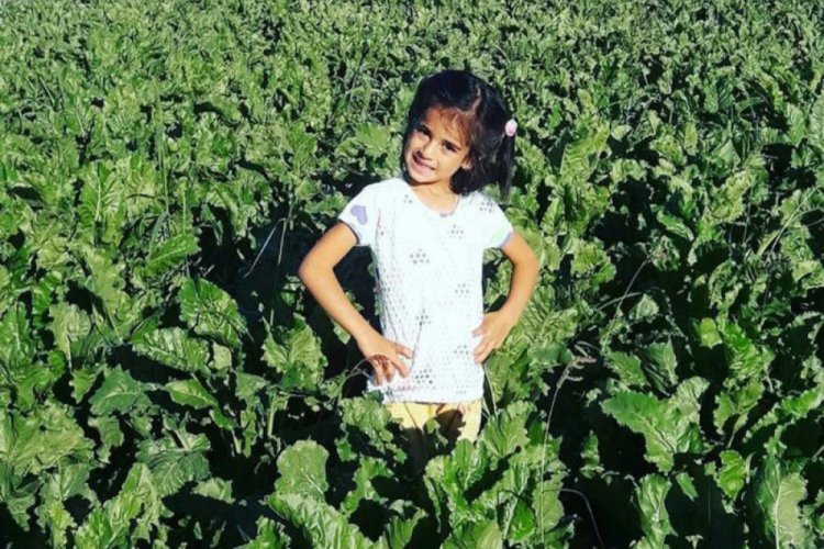 Eylül Yağlıkara cinayeti davasında karar çıkmadı