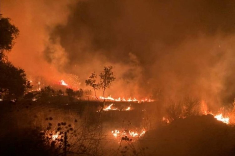 Evde çıkan yangın zeytinlik alana sıçradı