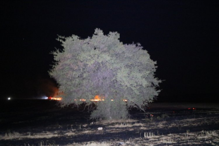 Kırşehir'de 250 dönüm arazide çıkan yangın korkuttu