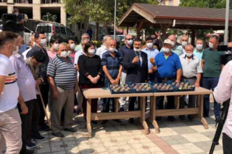 İYİ Parti Bursa İl Başkanlığı'ndan incir üreticilerine desten