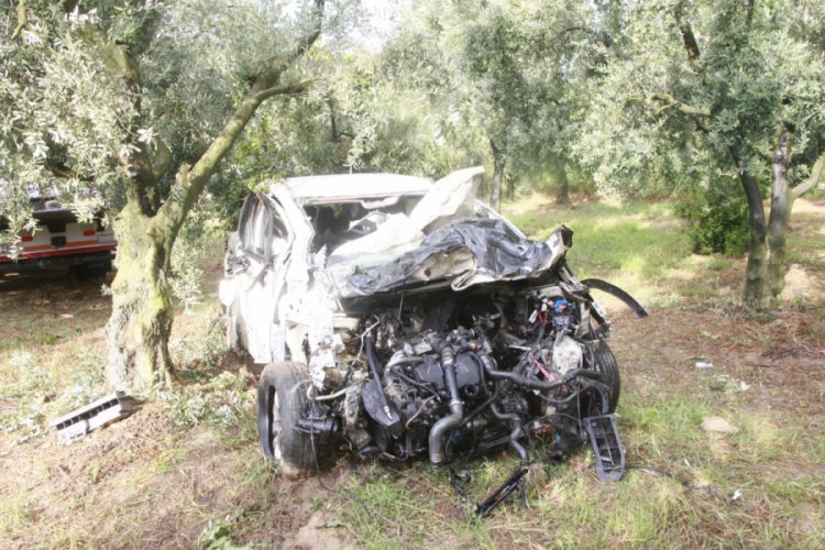 Bursa'da tarlaya girip, zeytin ağacına çarpan otomobilin sürücüsü hayatını kaybetti
