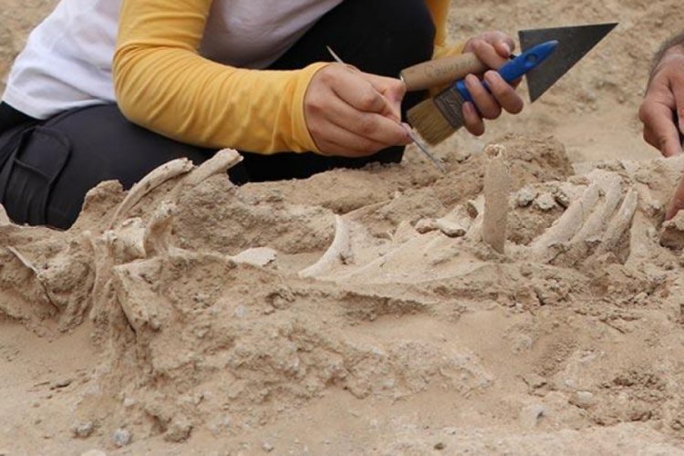 Van'da Urartulara ait nekropolde takılarıyla birlikte bir bebek iskeleti bulundu