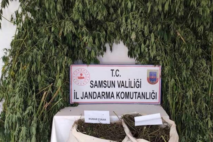 147 kilo esrar ele geçirildi: 14 gözaltı