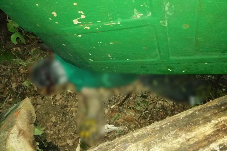 Ormanda çalışmaya giden baba ve oğlunu ölüm ayırdı