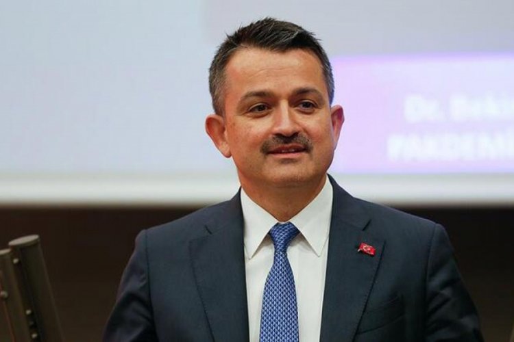 Pakdemirli'den Hatay'daki orman yangınına ilişkin açıklama