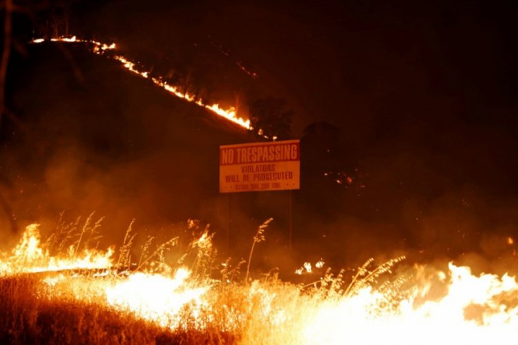 California'da 8 bin kilometrekare alan yandı