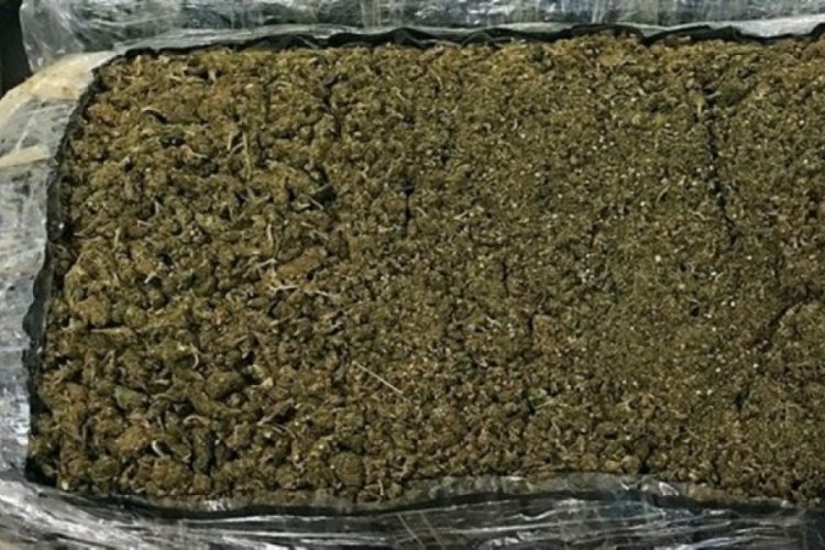 40,5 kilogram esrar ele geçirildi