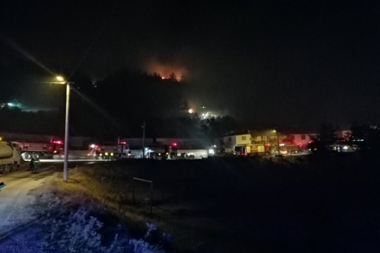 Manisa'da orman yangını