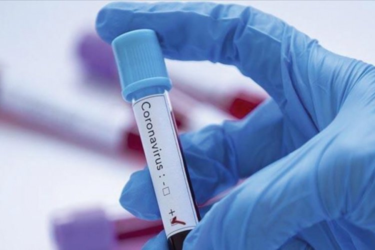 Kaymakam ve belediye başkanının koronavirüs testi pozitif çıktı