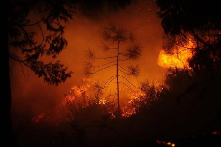 ABD'de 'büyük afet' Oregon'a sıçradı!