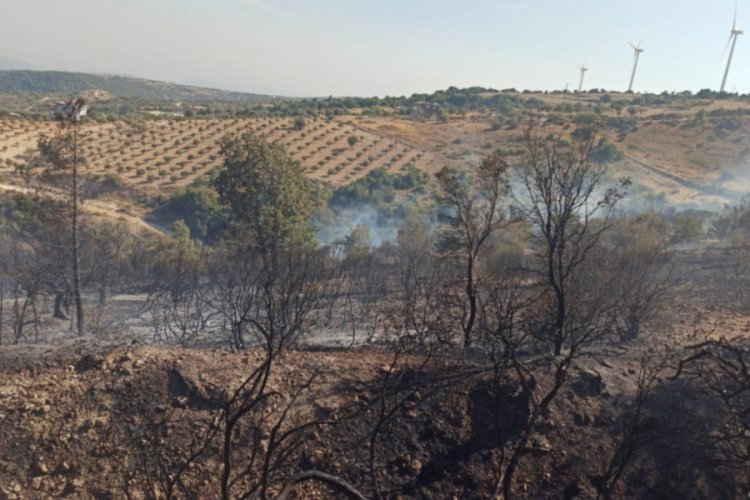 Hatay'da orman yangını