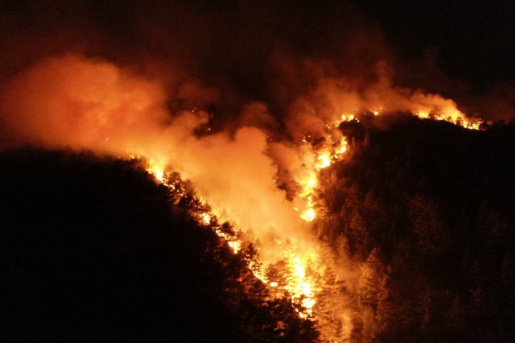 Pozantı'daki orman yangınına müdahale devam ediyor