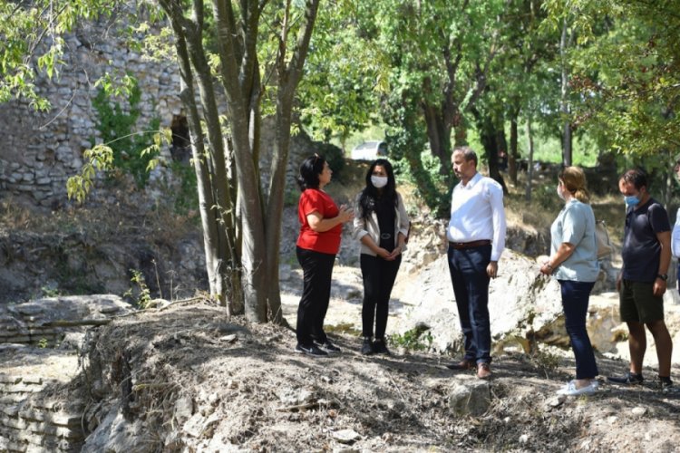Avcılar'da Viking izi