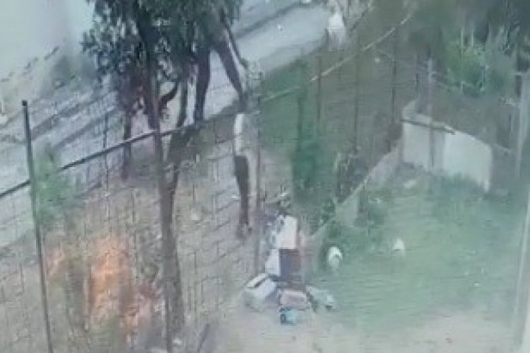 Bursa'da yemek tüpü ve bisiklet çalan 2 hırsız kameraya yakalandı