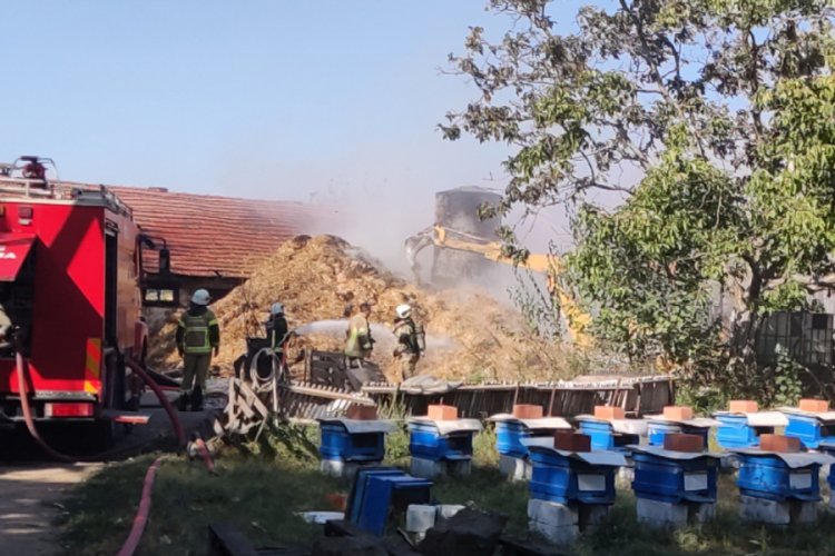 Bursa'da yangına müdahale eden itfaiyecilere arılar saldırdı