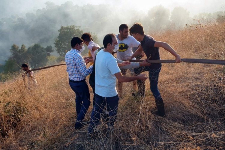 Aydın'da su testileriyle yangını söndürmeye çalıştılar