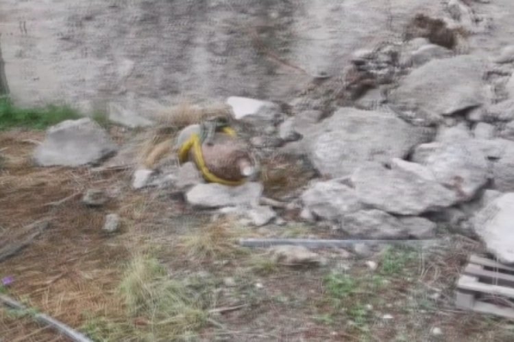 İtalya'da 2. Dünya Savaşı'ndan kalma bomba bulundu