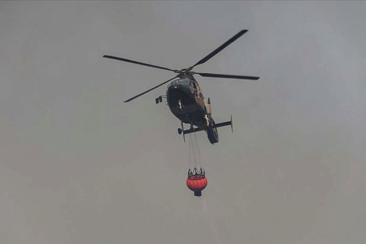 Brezilya'daki yangınlarda yaklaşık 1,5 milyon hektar sulak alan yandı