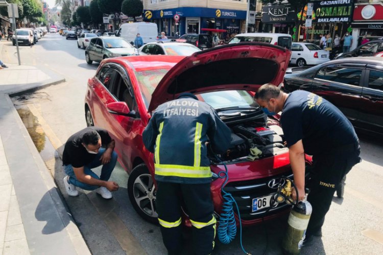 Yalova'da kaputa giren kedi için seferber oldular
