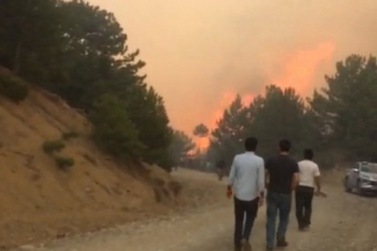 Çorum'da orman yangını sürüyor