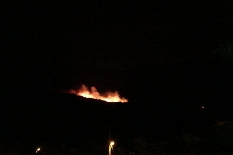 Manisa'da ormanlık alanda yangın