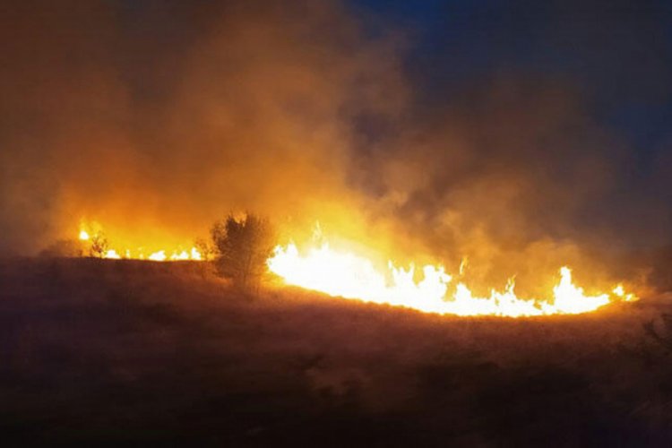Ankara'da orman yangını