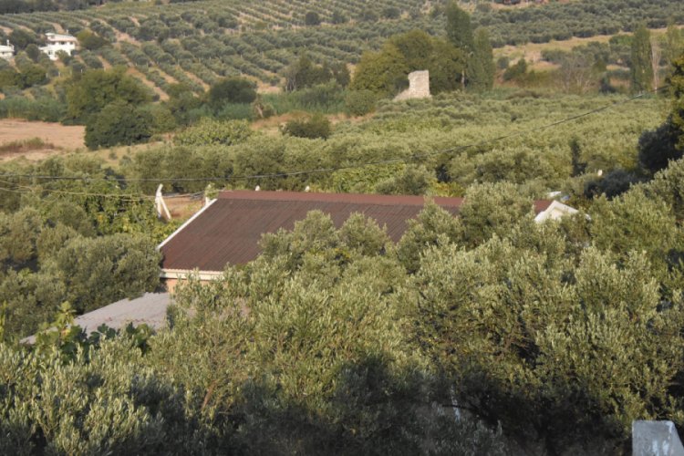 Didim Belediye Başkanı'nın tecavüzle suçlandığı çiftlik evi görüntülendi