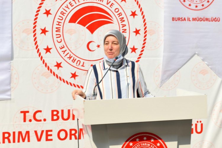 Bursa Milletvekili Gözgeç: ''Üreten kadınlarımızın her zaman destekçisi olacağız''