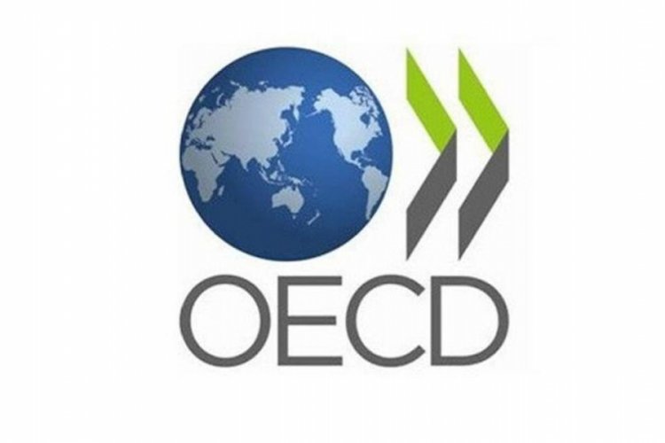 OECD, Türkiye için tahminini iyileştirdi