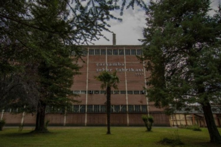 Çarşamba Şeker Fabrikası yeniden üretime başlıyor