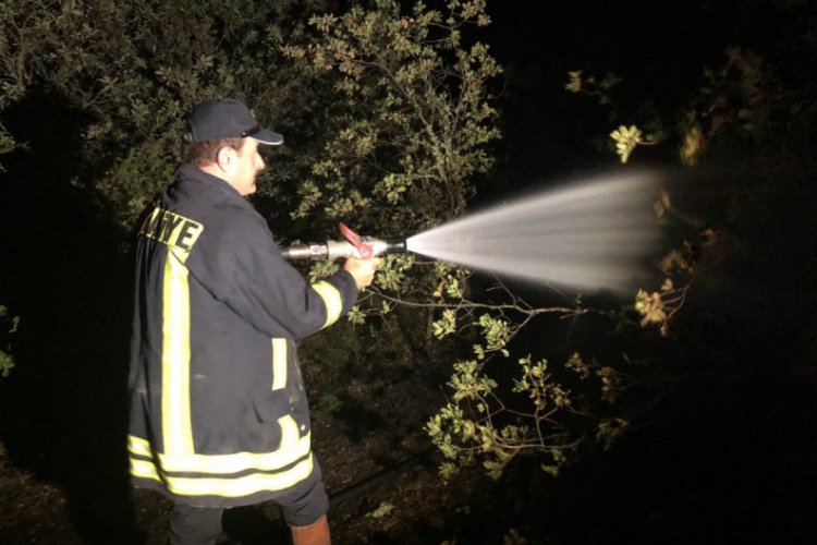 Kastamonu'da ağaçlık alanda yangın