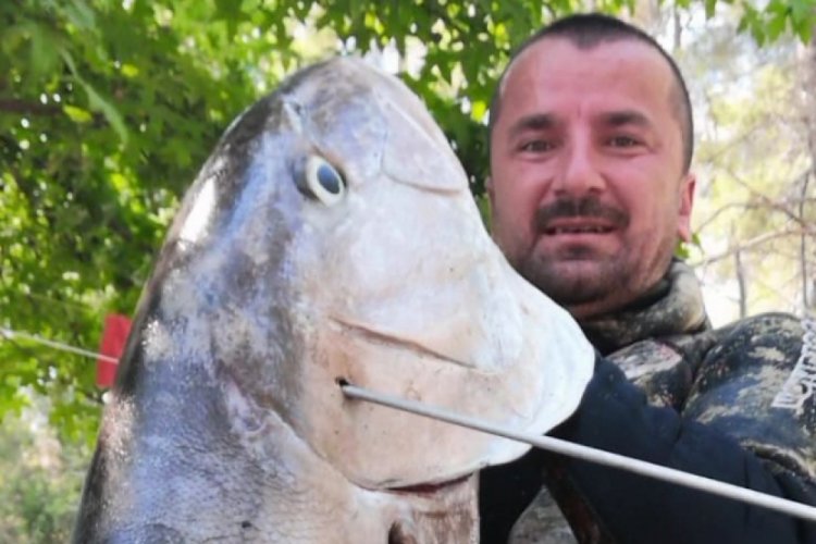 35 kilo ve 165 santimetre boyundaki akya balığını zıpkınla yakaladı
