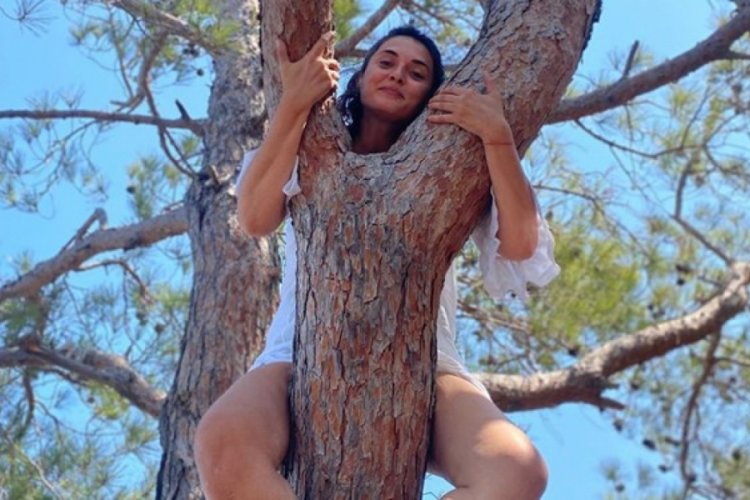 Aslıhan Gürbüz: O ağaç yandı